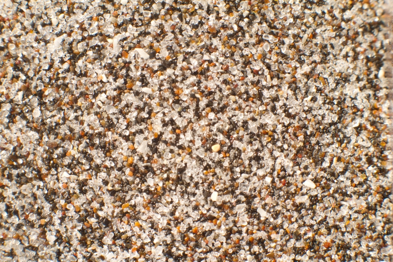 Verenigde Staten, FL, Caspersen Beach